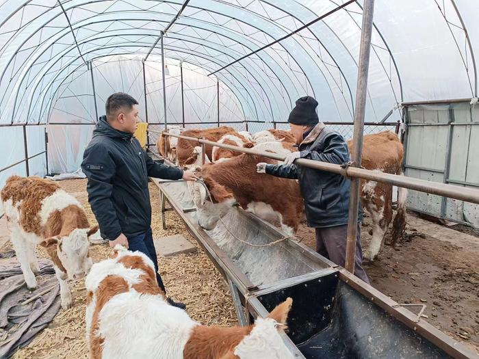 吉林省珲春市扎实推进春季动物防疫工作