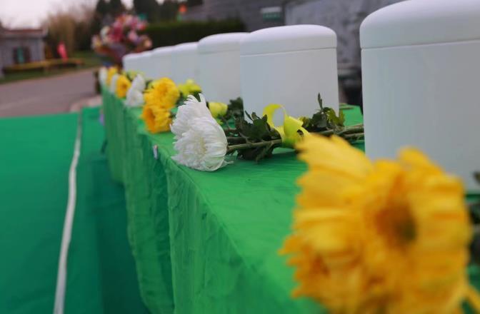 清明前多地墓园举行集体生态花葬仪式 有墓园节地葬式墓位占比高达46％