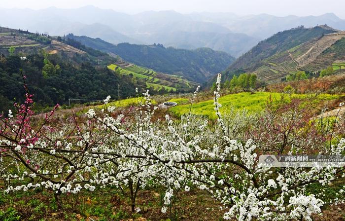 “神韵河池·奋进天峨” 第二十一届河池铜鼓山歌艺术节将在天峨举办