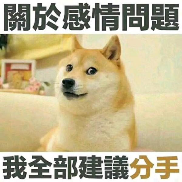 图源网络