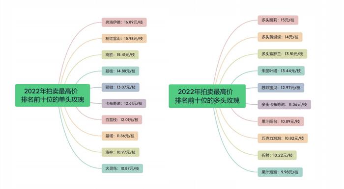 复古色玫瑰成流行，非洲菊量价齐降，KIFA大数据透露了哪些趋势