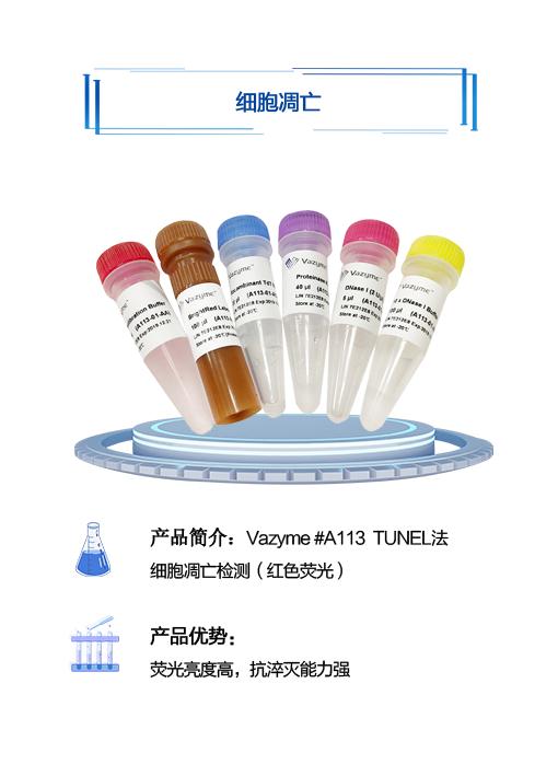 展会预告 |  诺唯赞邀请您参加中国细胞生物学学会2023年全国学术大会