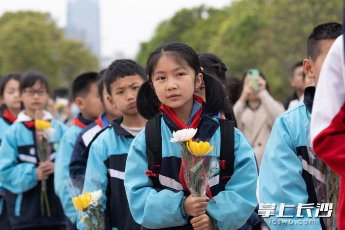 组图丨清明时节，长沙市民自发前往湖南革命陵园开展祭英烈活动