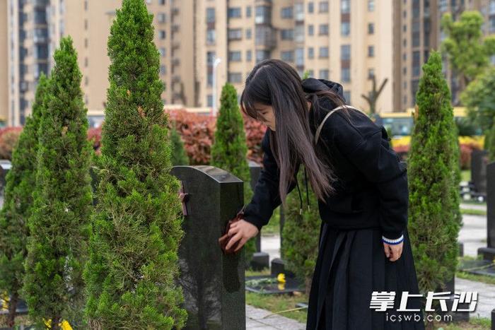 组图丨清明时节，长沙市民自发前往湖南革命陵园开展祭英烈活动