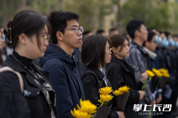 组图丨清明时节，长沙市民自发前往湖南革命陵园开展祭英烈活动