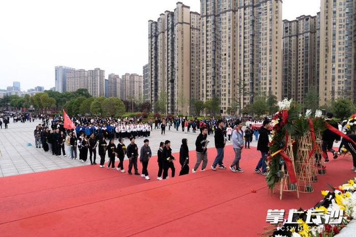 组图丨清明时节，长沙市民自发前往湖南革命陵园开展祭英烈活动