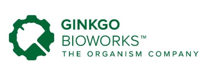 合成生物学巨头Ginkgo收购AAV载体开发公司StrideBio，加强自身基因治疗能力