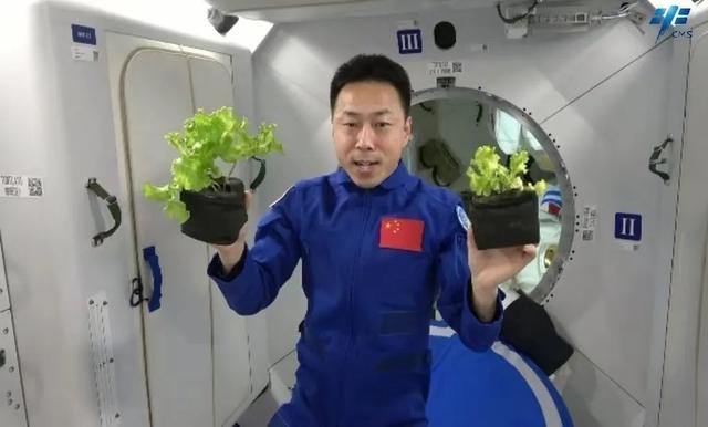 “太空种菜”有什么不一样？