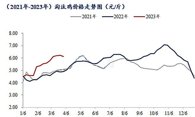 蛋价“滞跌”，淘鸡价格“弱稳”，背后原因是什么？