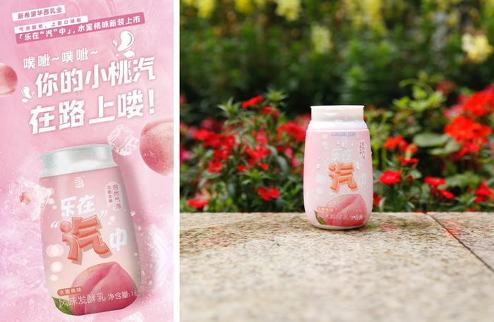图:新希望华西乳业