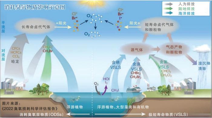 消失的臭氧层有望40年内恢复！地球成功“渡劫”带来怎样的启示