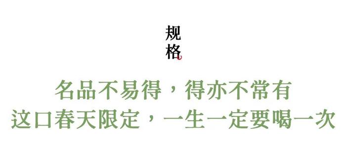 今年春天第一口鲜！明前初芽西湖龙井，爱茶的人都在抢这杯，喝到就是赚到