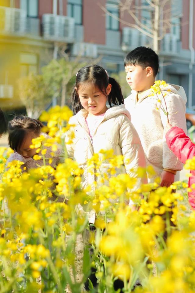 春日里最灿烂的，是阳光下你绽放的笑脸……