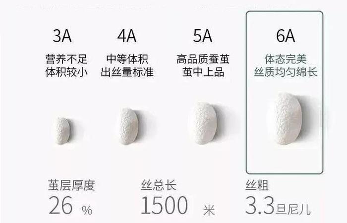 回购五年的樱姿娜内裤！超柔莫代尔+奢华桑蚕丝，穿它太爽了！