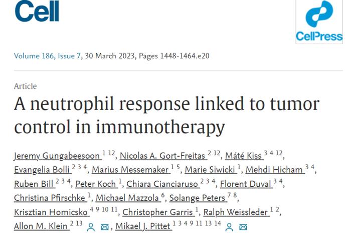 重大发现！两篇Cell：揭示中性粒细胞在肿瘤免疫疗法中的重要作用，或为免疫疗法成败的关键！