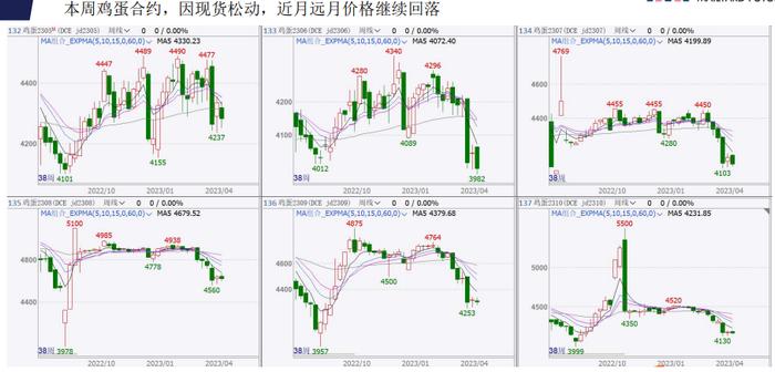 补货情绪谨慎 鸡蛋短期或偏弱运行