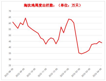 补货情绪谨慎 鸡蛋短期或偏弱运行