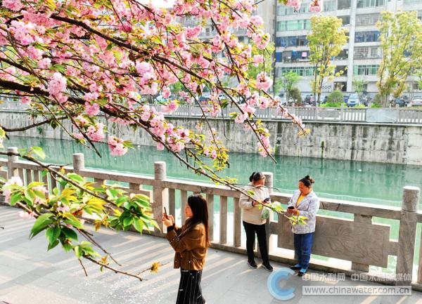 重庆酉阳县：水清岸绿 河畅景美