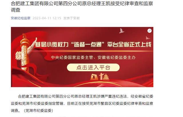 合肥建工集团有限公司第四分公司原总经理王凯接受审查调查