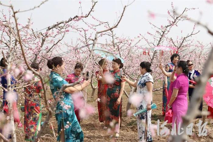 【中国式现代化河北场景·廊坊新篇章】安次区：以“花”为媒打造近郊旅游品牌