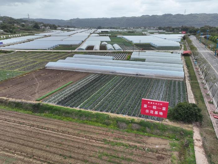 走进川江“第一村”②｜靠水吃水，宜宾长江村将长江水“吃到极致”