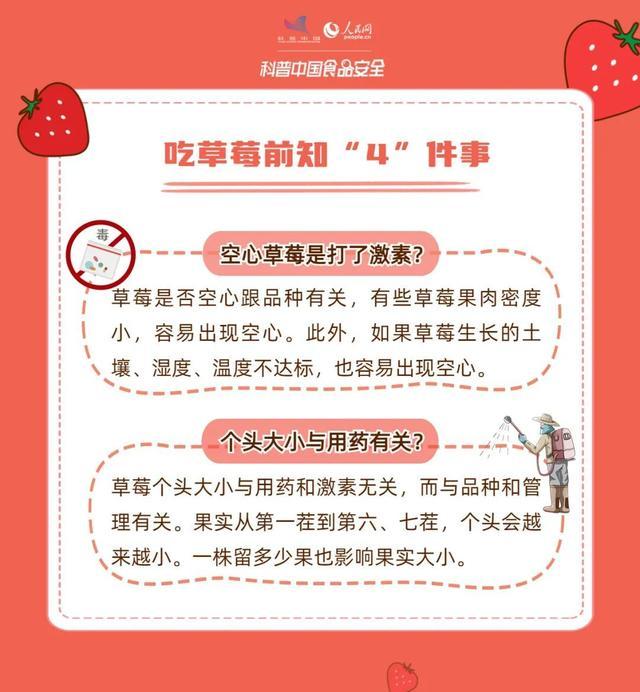 空心草莓是打了激素？“个大”的草莓是因为打了药？解答来了