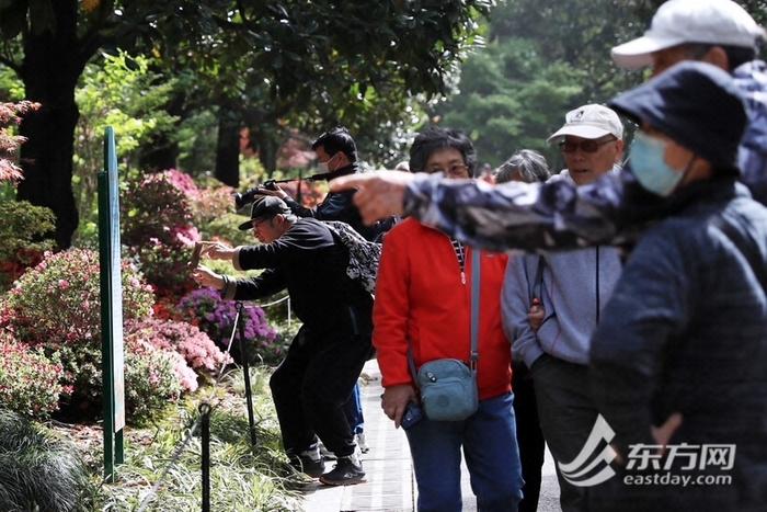 2023上海（国际）花展开幕 打造覆盖面最广的“全城花展”| 攻略