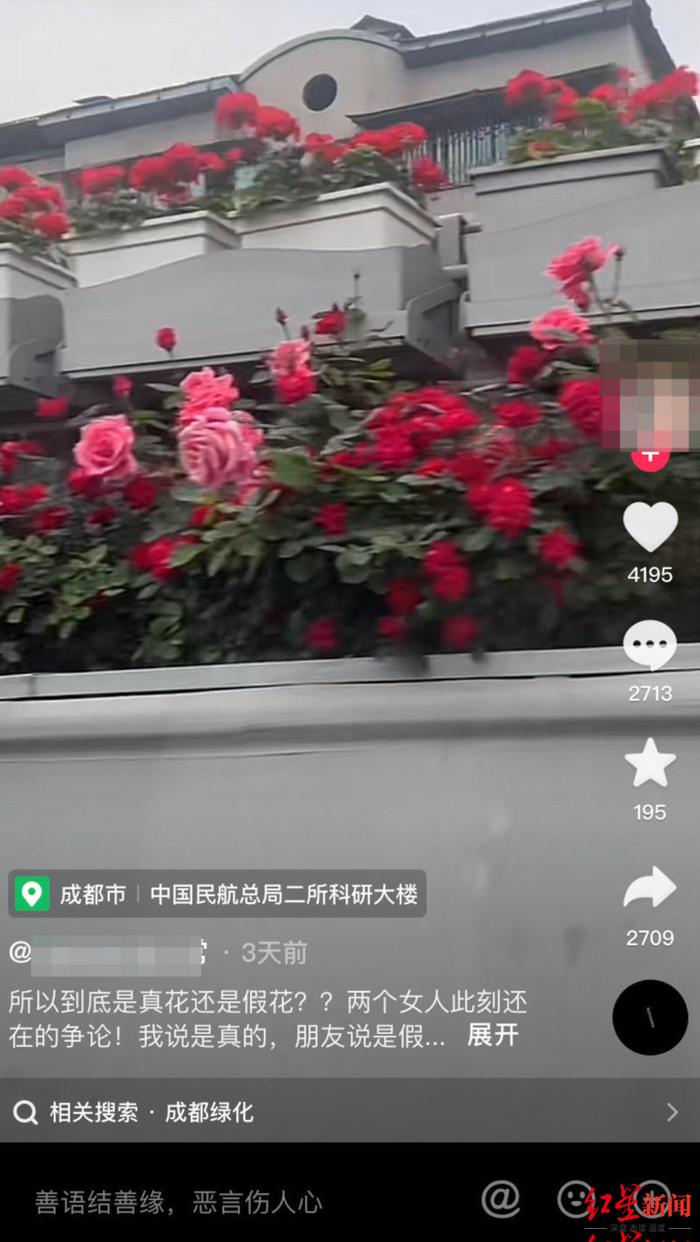 ▲二环高架上的花是否为真花的讨论 视频截图
