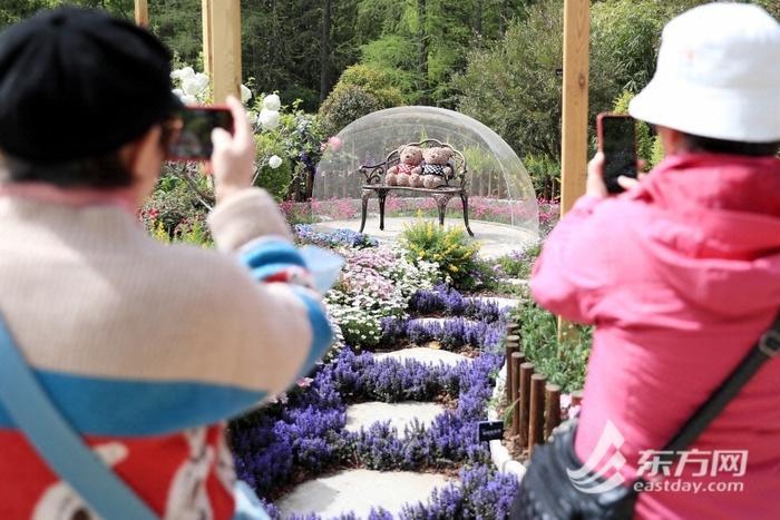 2023上海（国际）花展开幕 打造覆盖面最广的“全城花展”| 攻略