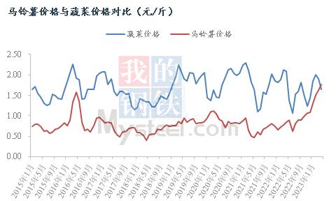 Mysteel解读：新老货源供应主体转换 后续新薯价格走势如何