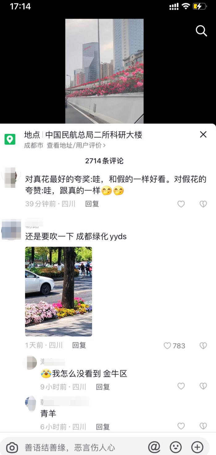 网友们，别猜了！成都二环高架上的那些花朵是真花，还是月季