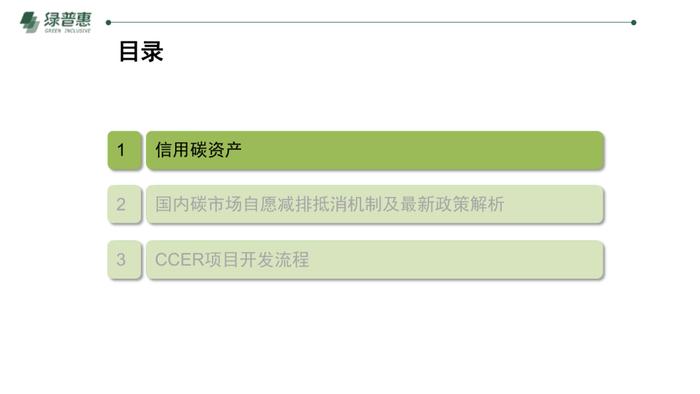 绿普惠《信用碳资产及温室气体自愿减排项目开发》