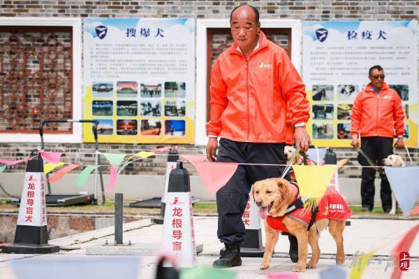 这位“军犬司令”将亲手训练的导盲犬赠给盲人