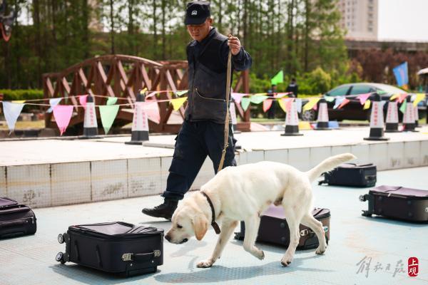 这位“军犬司令”将亲手训练的导盲犬赠给盲人