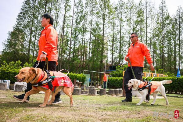 这位“军犬司令”将亲手训练的导盲犬赠给盲人