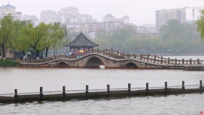 清明时节 杏花春雨 济南变成诗意之城