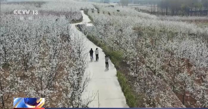 花粉柳絮来袭 过敏性鼻炎患者需注意综合防护