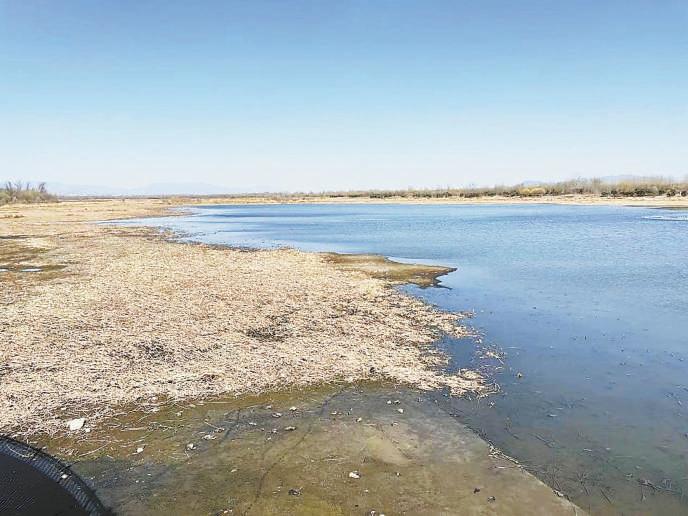 控制水量细水长流、避免水位剧烈波动惊扰候鸟，潮白河今年补水“静悄悄”