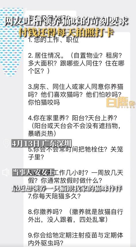 女子领养猫咪被要求提供房产证信息，当事人：还需2000元领养费，接受对方定期上门回访，条件太苛刻