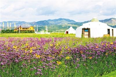 春赏花、夏避暑、秋采摘、冬滑雪，100余项活动贯穿全年 “亮丽敕勒川·精彩黄河湾”邀您深度游青城