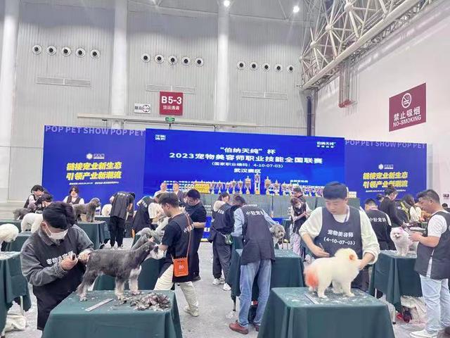 武汉国际潮宠展开幕：免费体检区火爆，店家在现场直播带货，多种试用品免费送