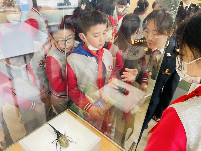 上海海关去年截获外来物种298种次！这三样居高频截获前三