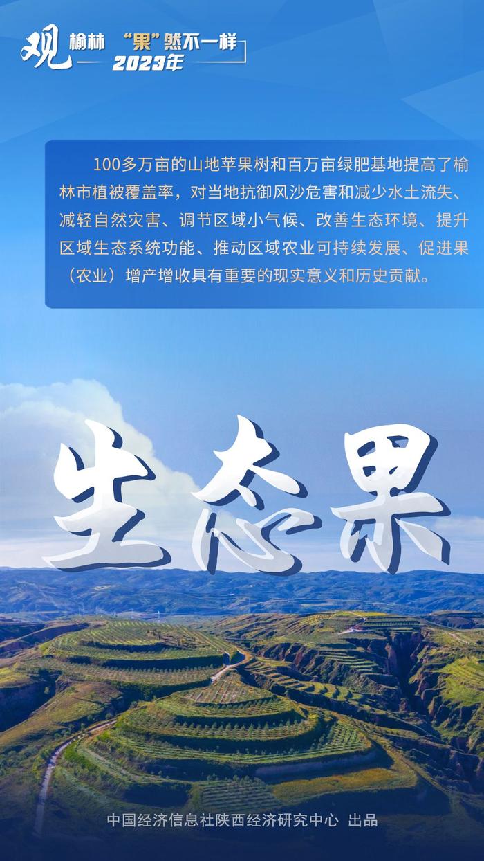 陕西榆林：“果”然不一样 山地苹果绘就乡村新图景