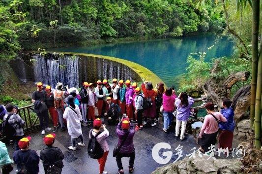 【记者周末探景区】旅游回暖 一季度超两百万人次体验小七孔的幽山碧水