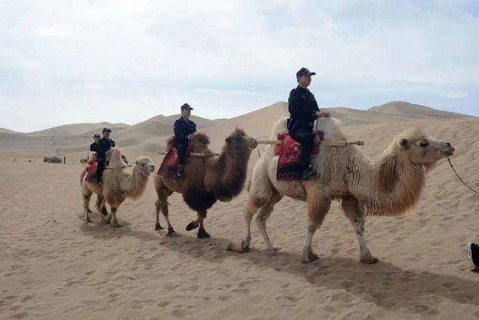 骑骆驼巡逻、徒手挖手机……这个沙漠中的派出所用服务擦亮旅游警务新名片