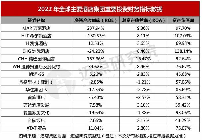 2022年酒店集团财务分析报告