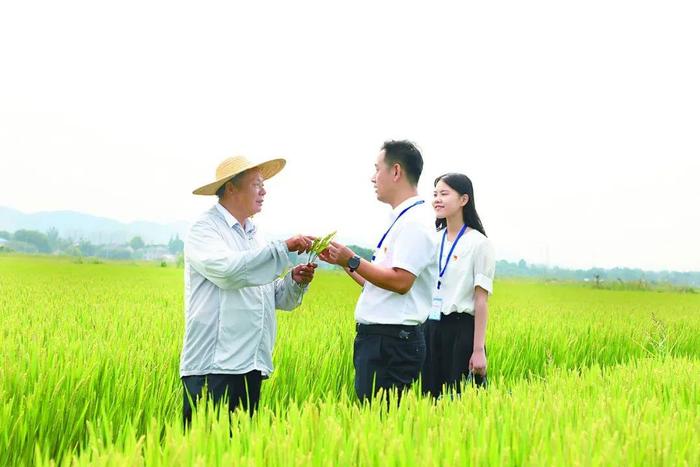 加大惩治力度、推动体制机制改革……各级纪委监委纠治靠粮吃粮