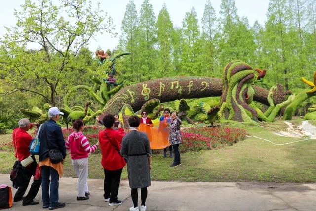 东平国家森林公园赏花路线推荐，春光无限好，只等你来！