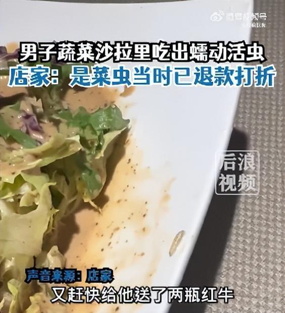 男子在22元沙拉中吃出白色活虫，在盘子边缘爬行，店家回应：这是菜虫已退款打折，总共390多收了他300块钱