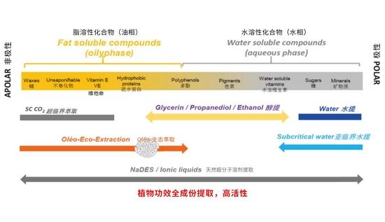 以现代科技赋能传统艾灸，艾唯久助力中医科技化